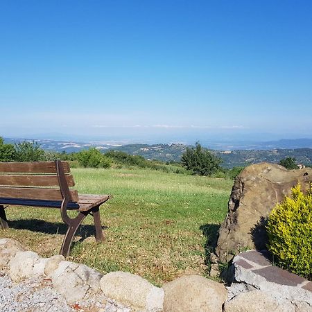 Agriturismo Le Casaline セッジャーノ エクステリア 写真