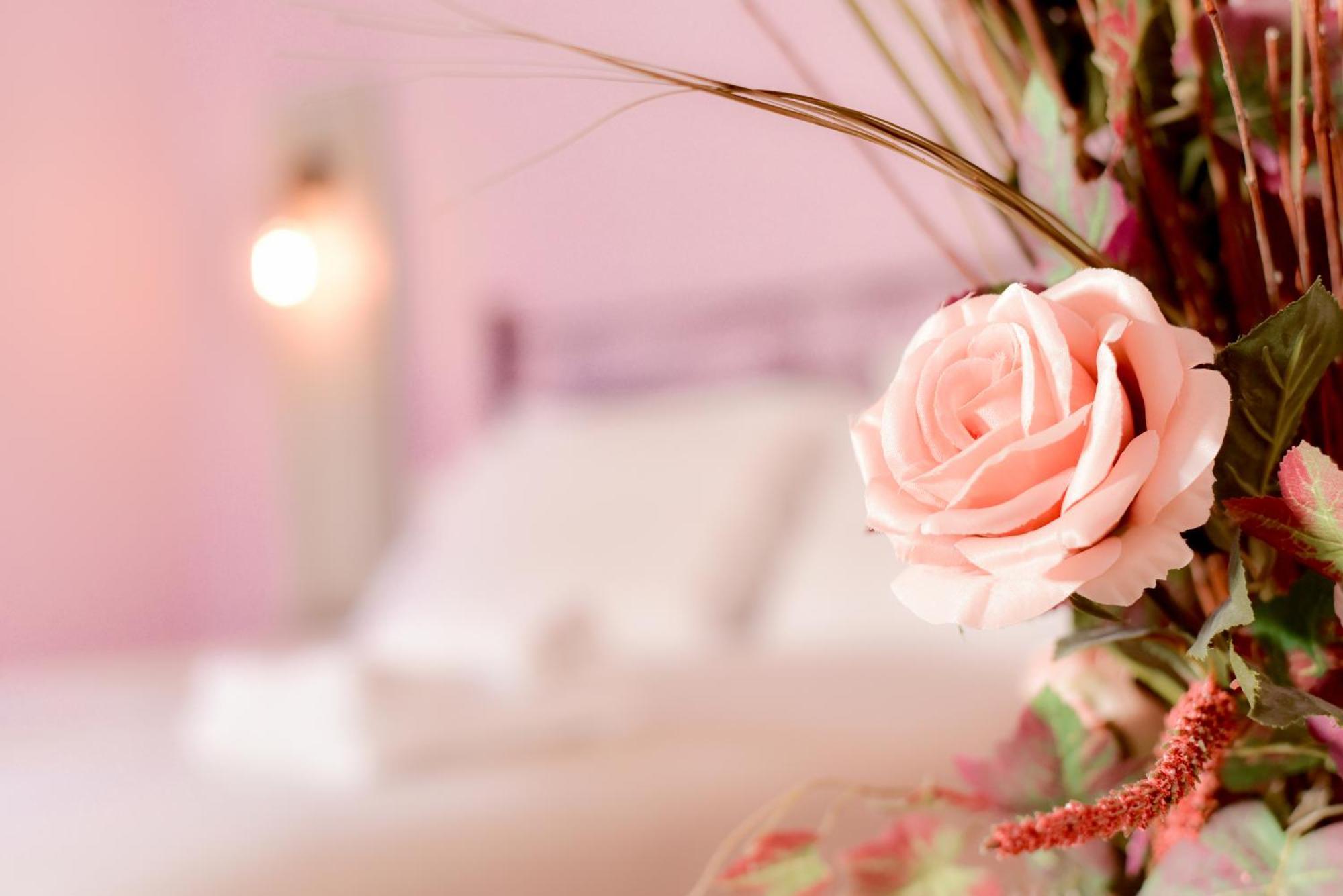 Agriturismo Le Casaline セッジャーノ エクステリア 写真