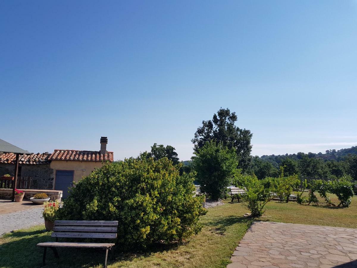 Agriturismo Le Casaline セッジャーノ エクステリア 写真