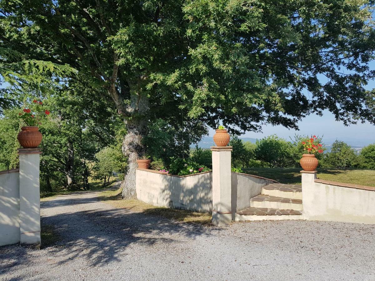 Agriturismo Le Casaline セッジャーノ エクステリア 写真