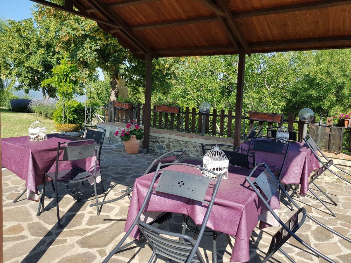 Agriturismo Le Casaline セッジャーノ エクステリア 写真