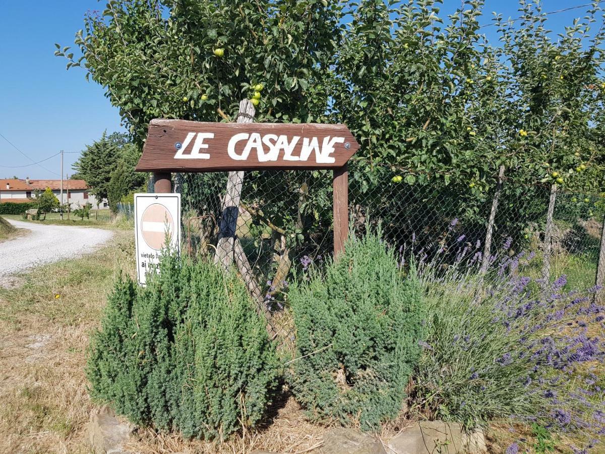 Agriturismo Le Casaline セッジャーノ エクステリア 写真